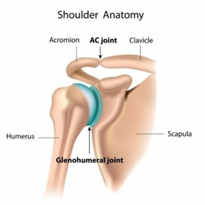 AC Joint Reconstruction Surgery