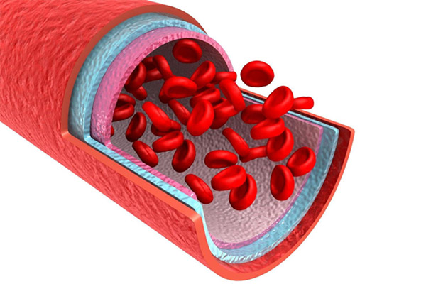 Blood Flow Restriction by Hi Def PT