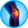 Knee Image