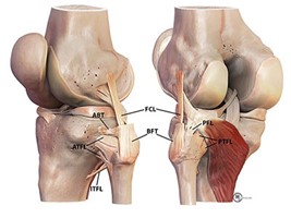 Proximal Tibiofibular Instability and Stabilization